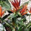 suedwest messe schwenningen 47 20120604 1052396827 20140929